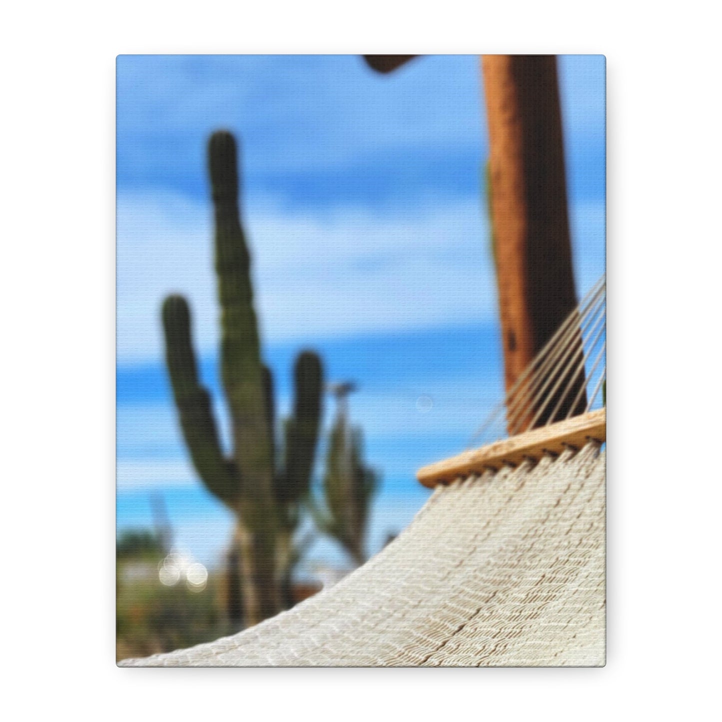Relaxing in the Hammock