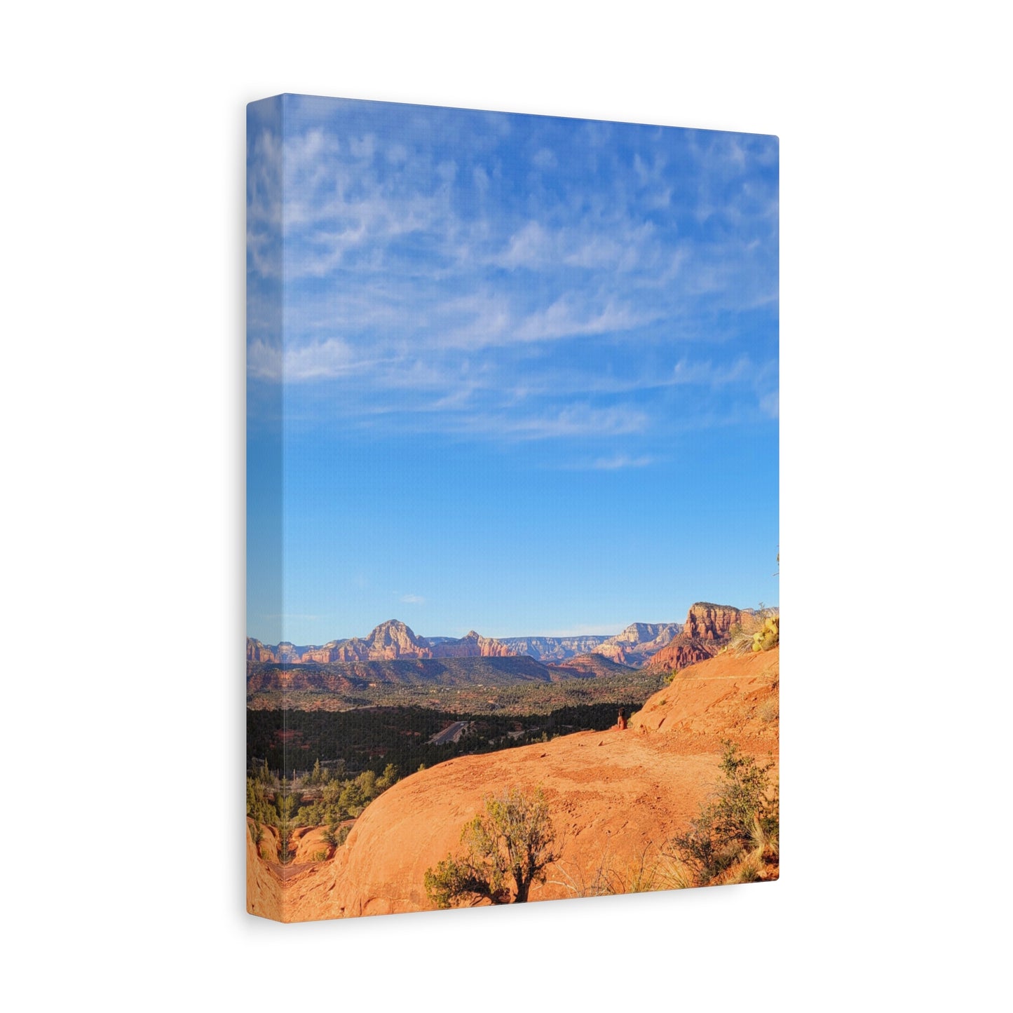 Red Rocks of Sedona