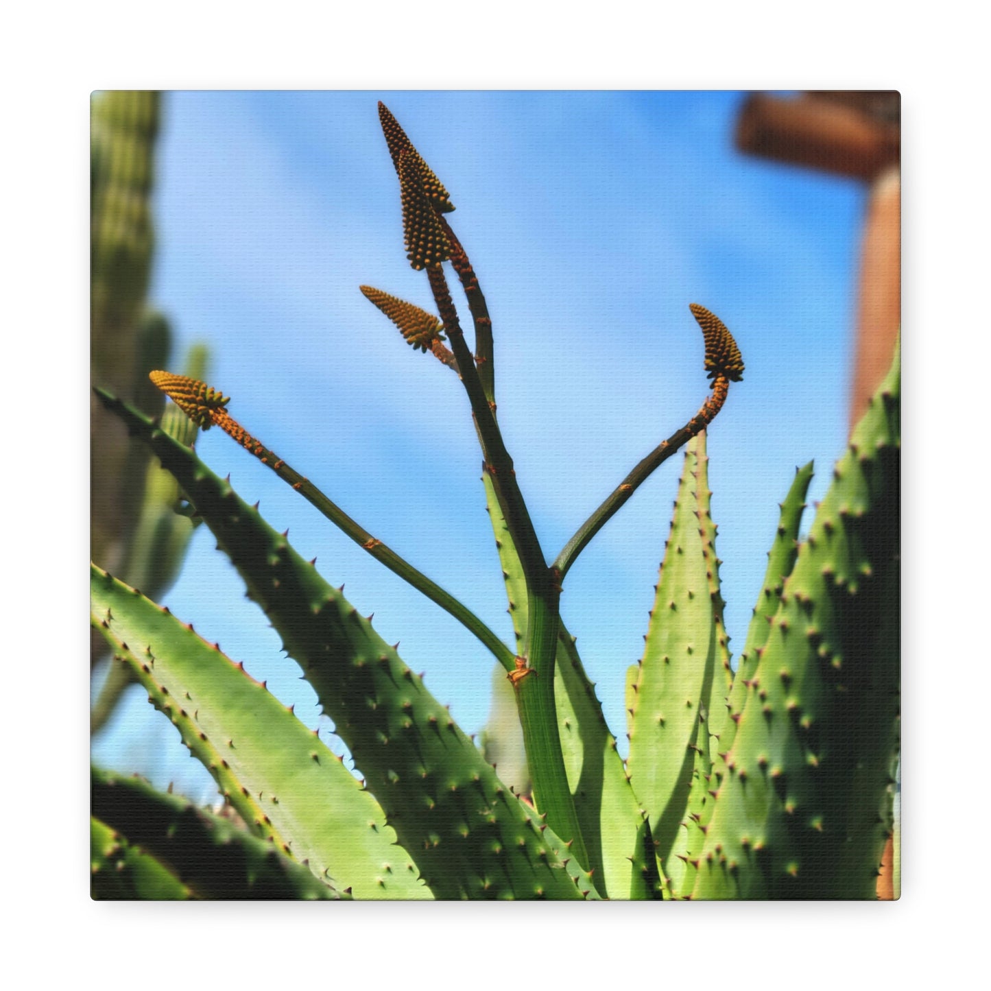 Growth