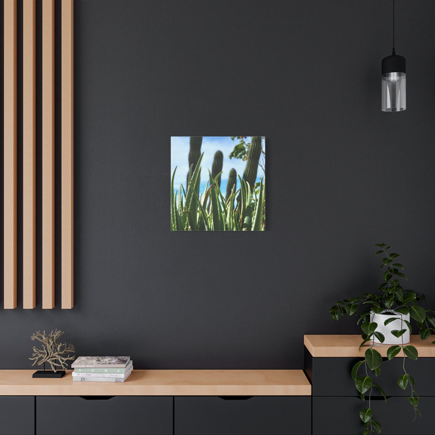 Cacti