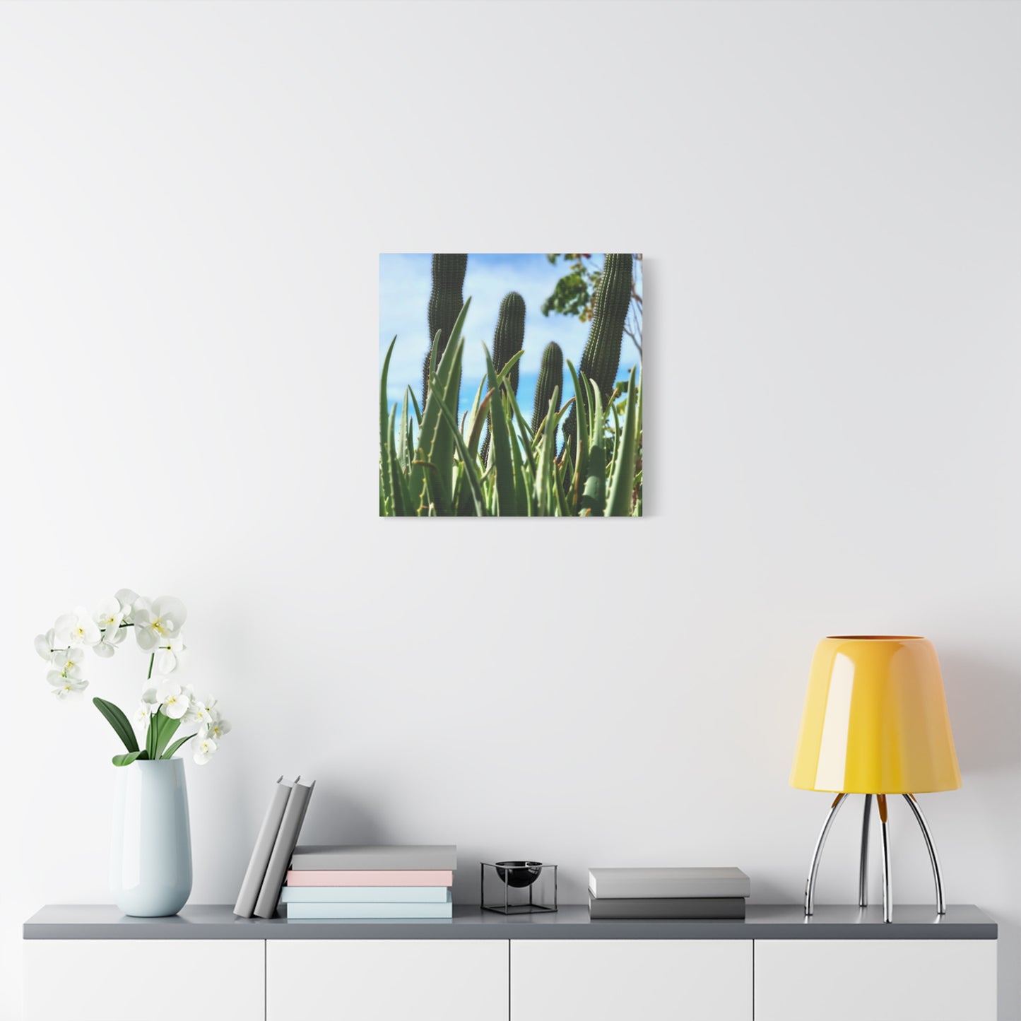 Cacti