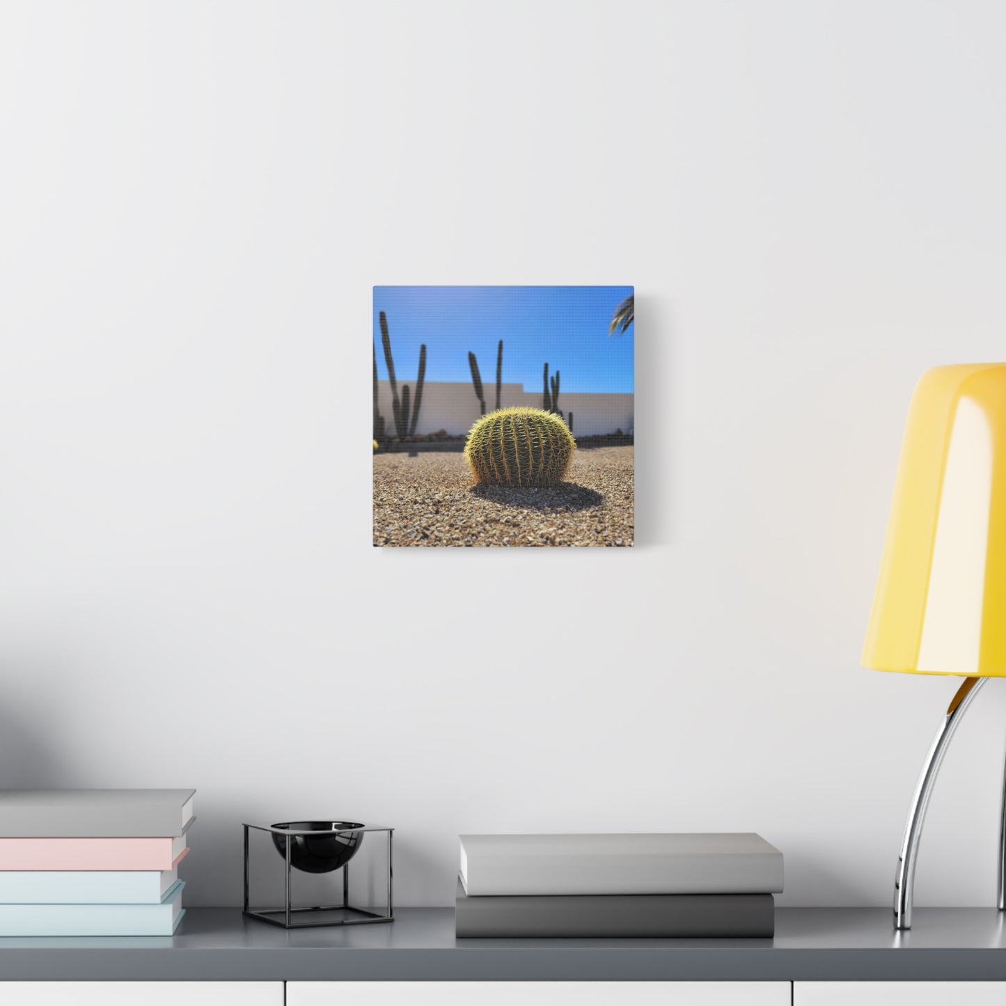 Cute Cactus
