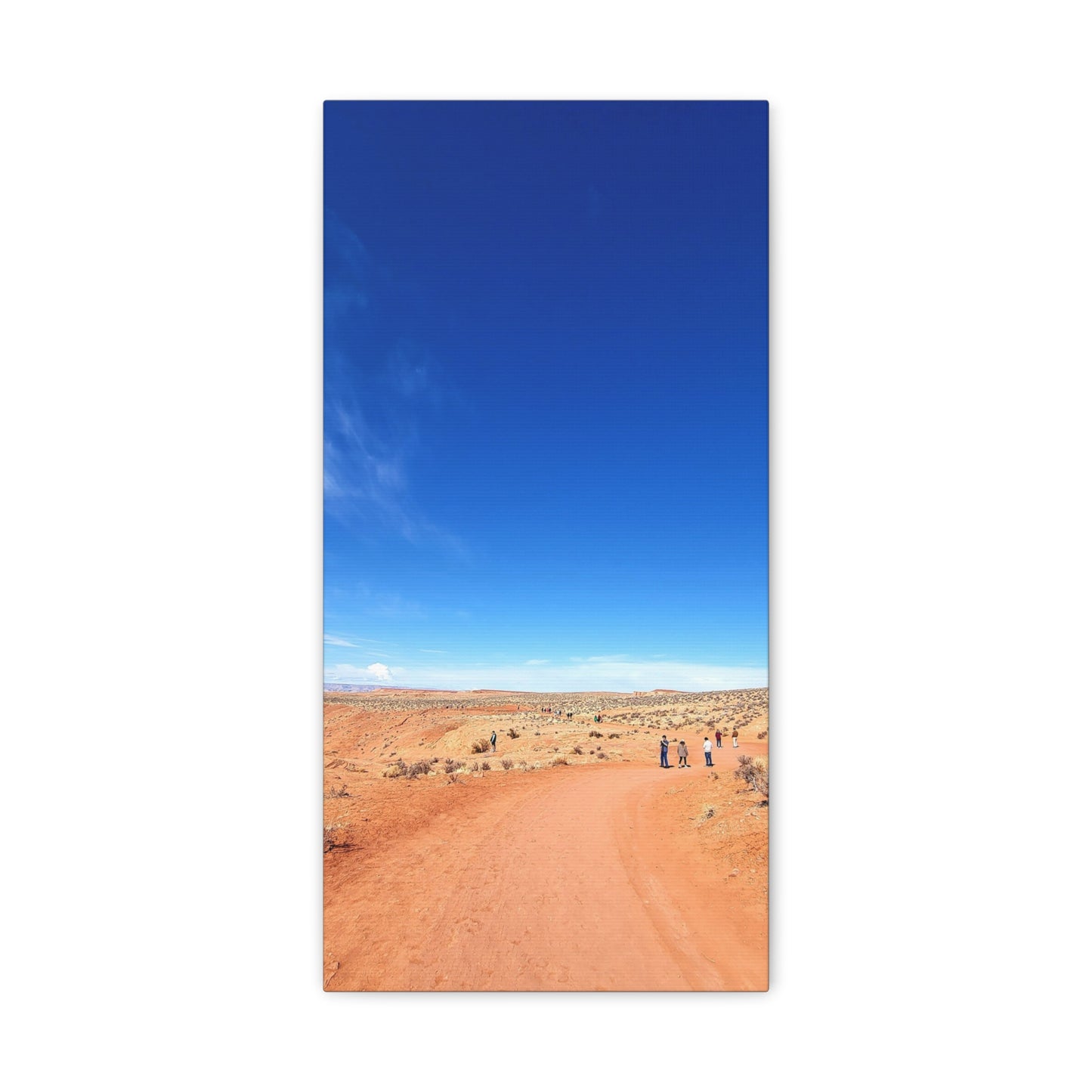 Desert Road in Arizona