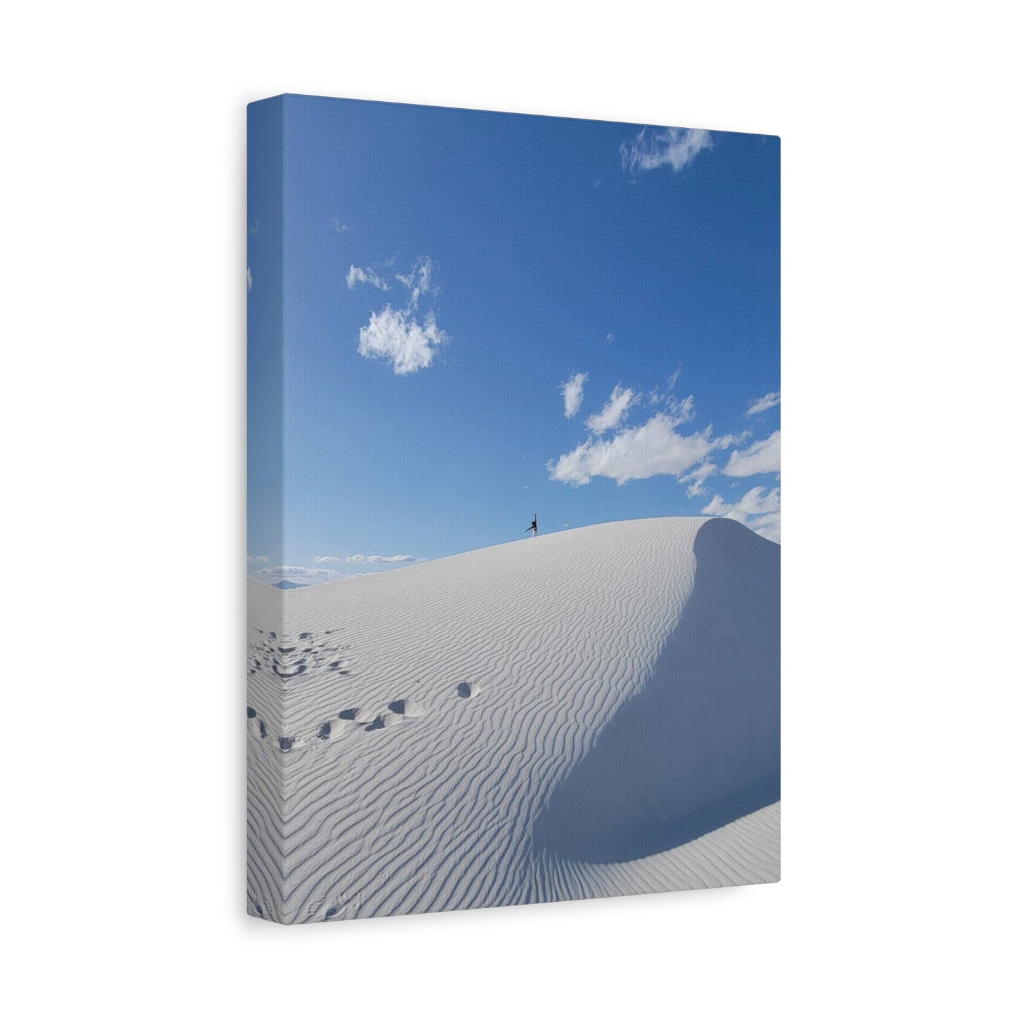 Desert Dreamer