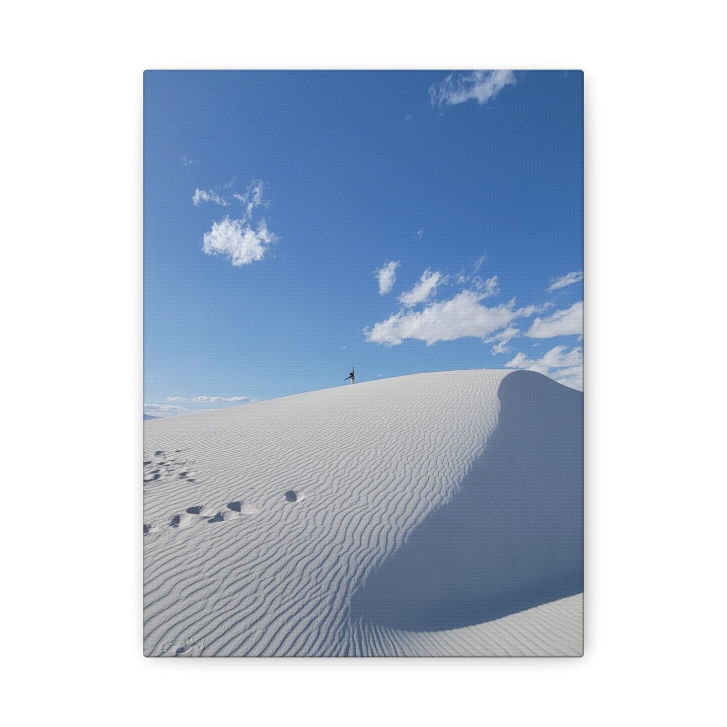 Desert Dreamer