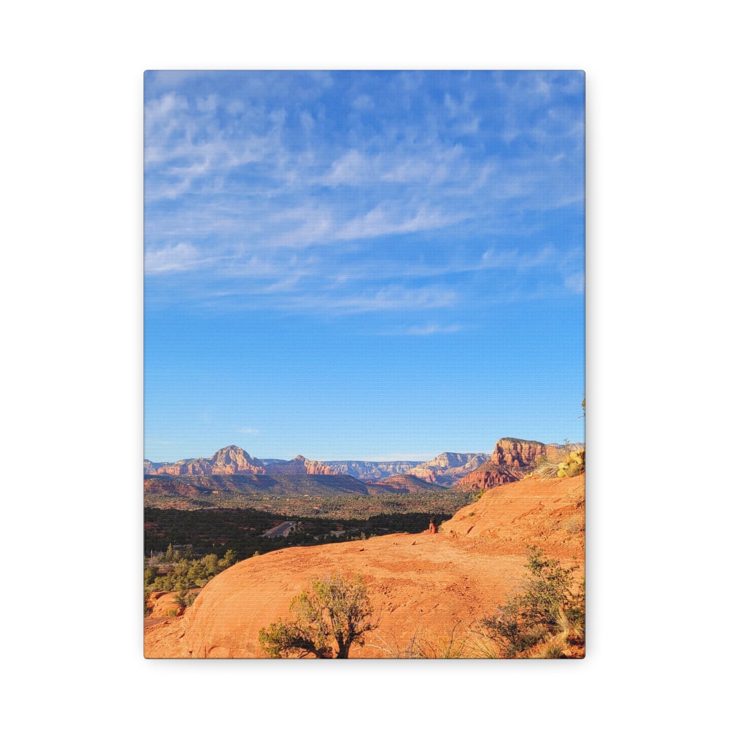Red Rocks of Sedona