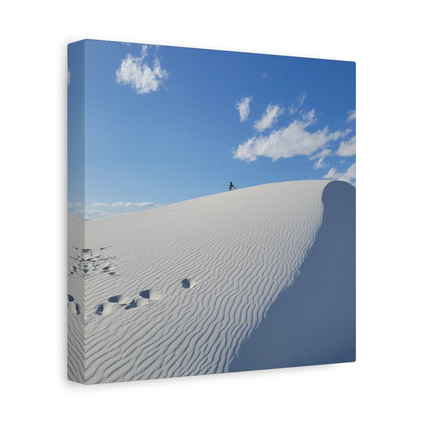 White Sands Adventures