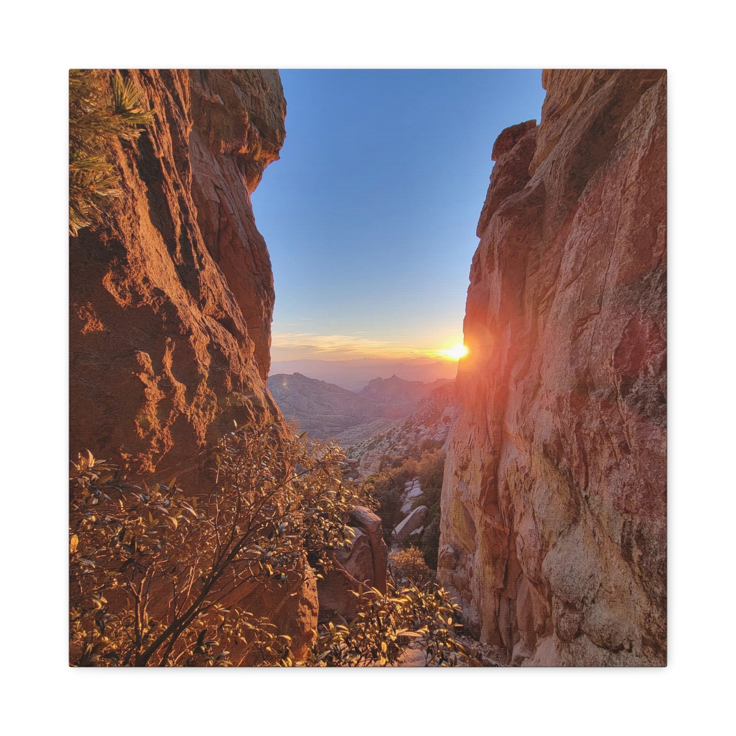 Sunset in the Valley of Mt Lemmon