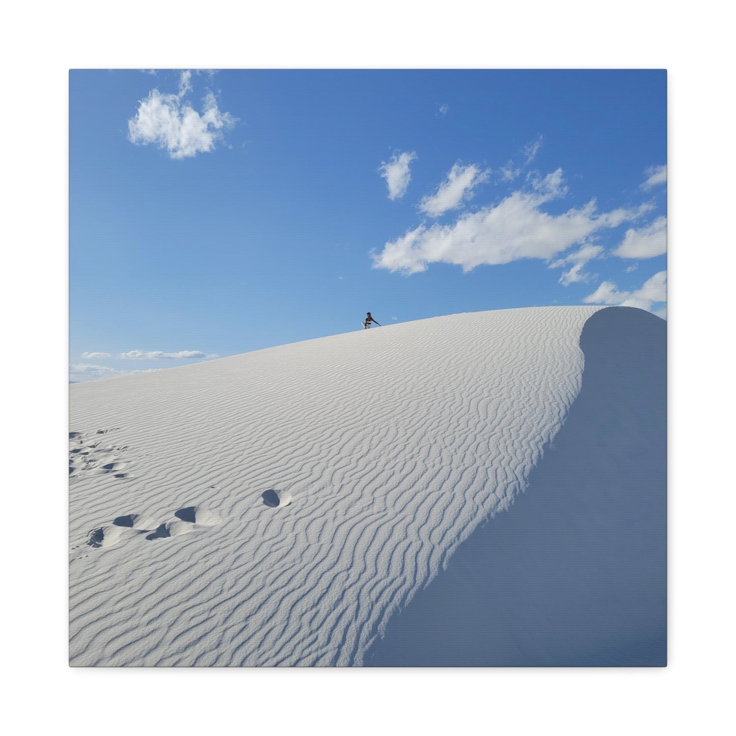 White Sands Adventures