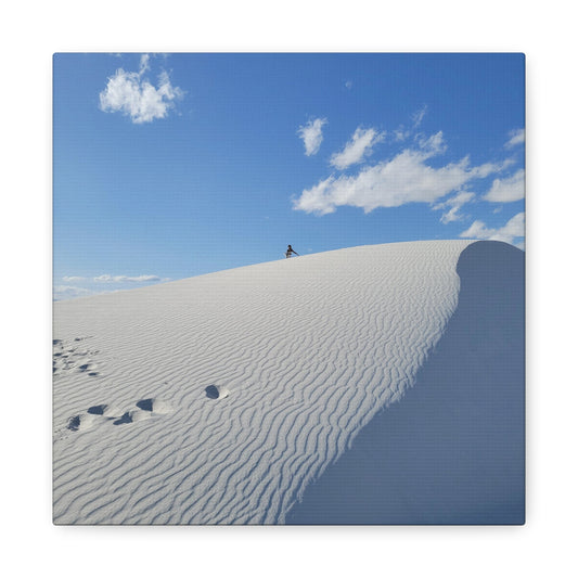 White Sands Adventures