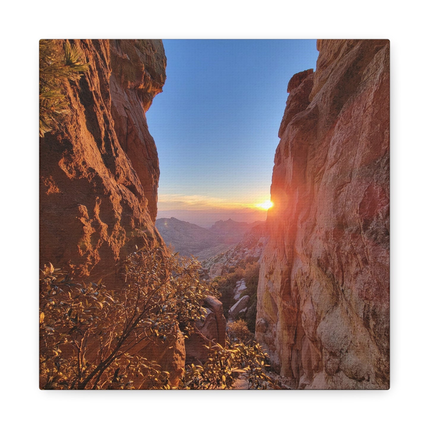 Sunset in the Valley of Mt Lemmon